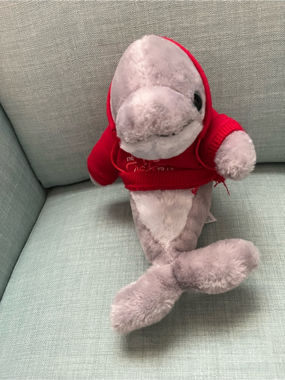 Dolphin Plush The Crab Trap Destin Florida Collectible Plush Red Hoodie